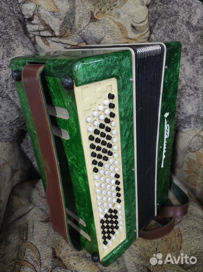 Баян Полесье