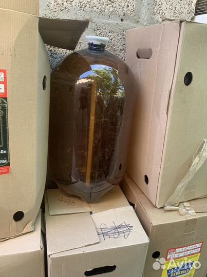 Пластиковые кеги бесплатно