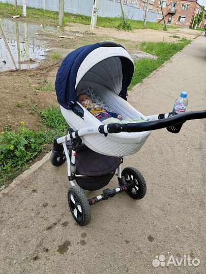 Коляска 2 в 1 adamex