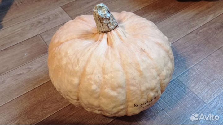 Семена тыквы