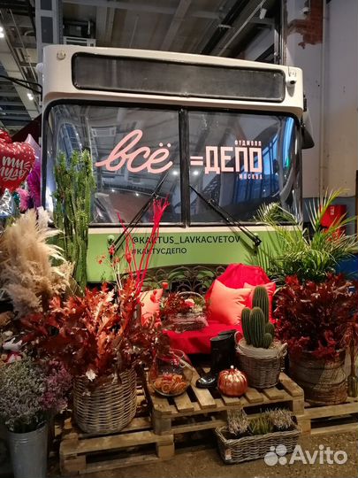 Печать наклеек