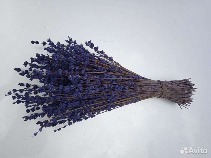 Лаванда сухоцвет букет