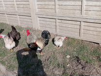 смуп вц жкх смоленск. вц по коммунальным платежам г. вц1446. вц по платежам владивосток. Ru передача показаний владивосток.