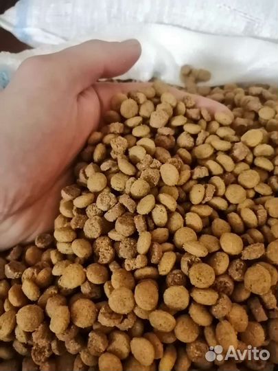 Сухой корм для животных.(Ягнёнок рис)