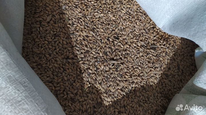 Комбикорм, Зерно, добавки, премиксы