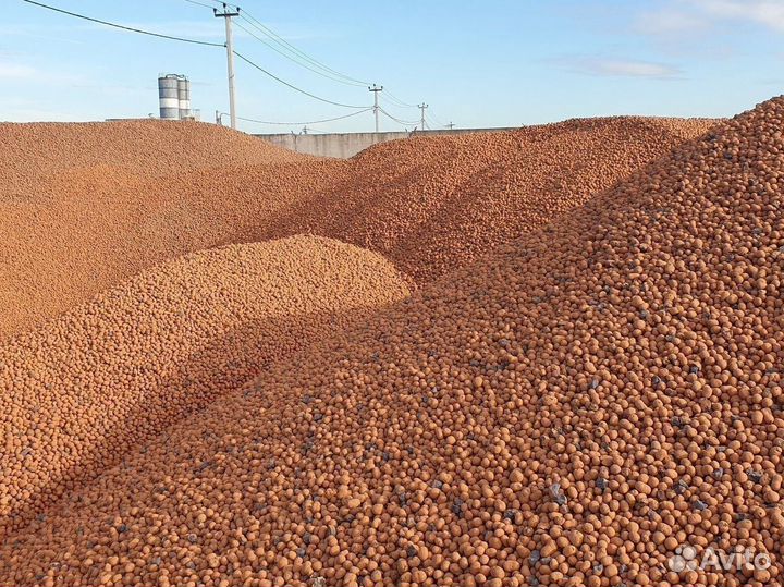 Керамзит самовывоз