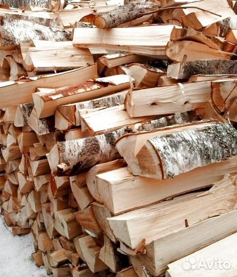 Дрова березка