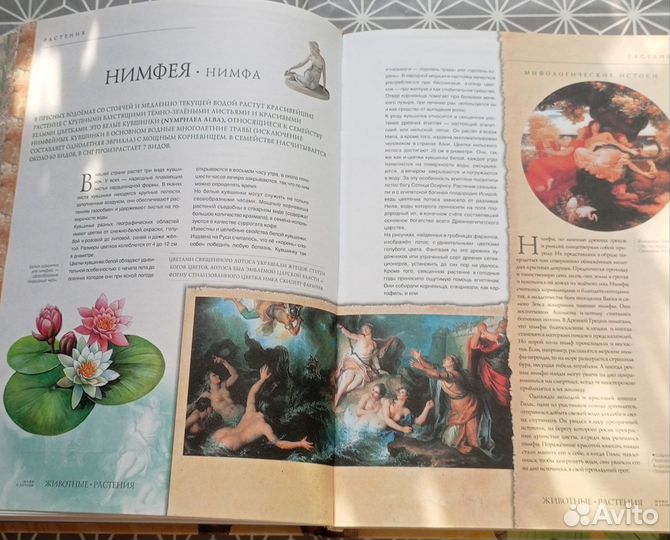 Книга о растениях и животных. Мифы и легенды