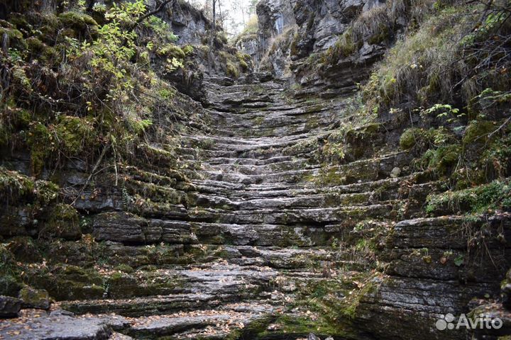 Катамаран, аренда (прокат)снаряжения для сплава