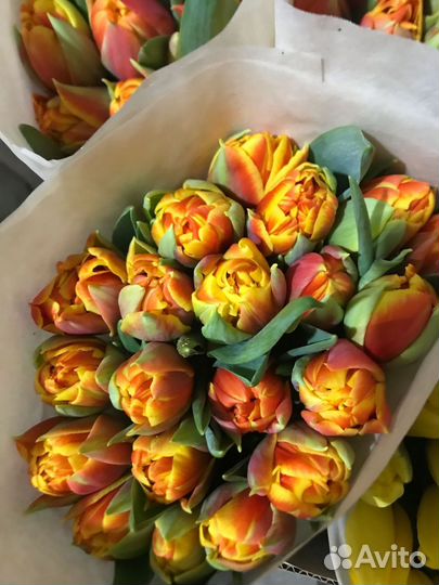 Тюльпаны к 8 марта розница