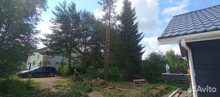 Спил деревьев, расчистка участка, дробление веток