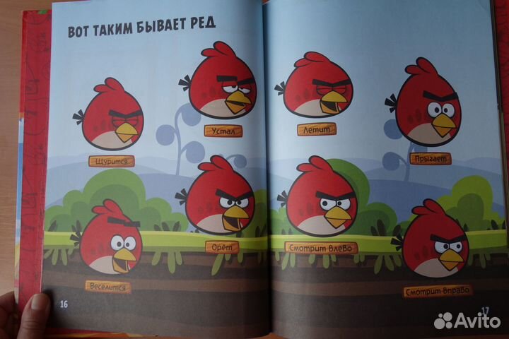 Книги Ангри Бердз, Фыфрики и Бубрики