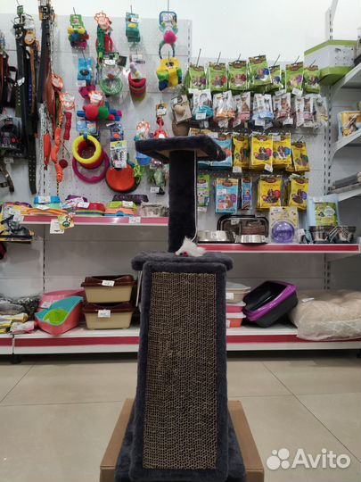 Когтеточка домик для кошки и туалет