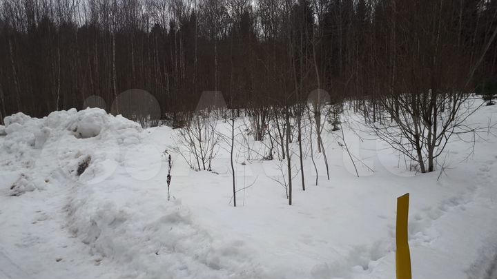 Участок 19,5 сот. (ИЖС)