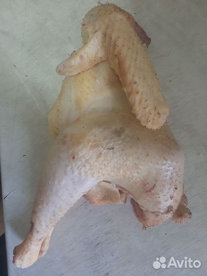 Мясо домашней курицы