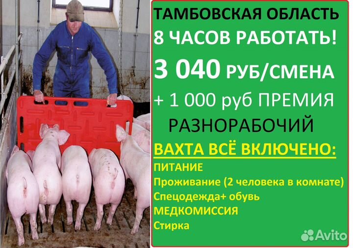 Разнорабочий 8 часов Вахта+питание Тамбовская обл