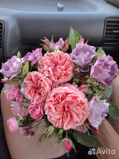 Розы.Опт-розница