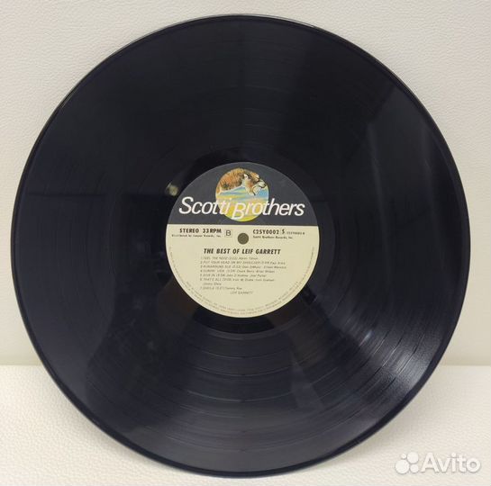 Leif Garrett - The Best Of LP