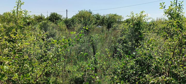 Участок 15 сот. (ИЖС)