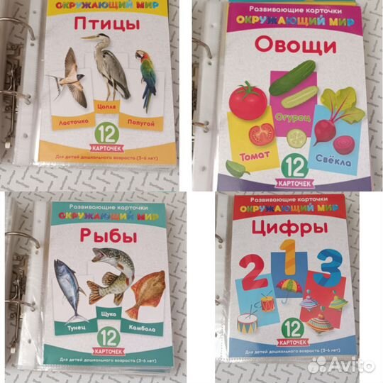 Папка с развивающими карточками