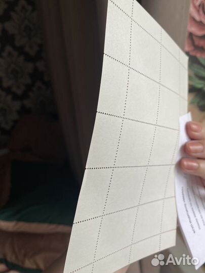 Марки кошки Россия 1996 негашенные