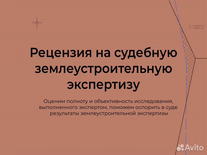 Рецензия на землеустроительную экспертизу