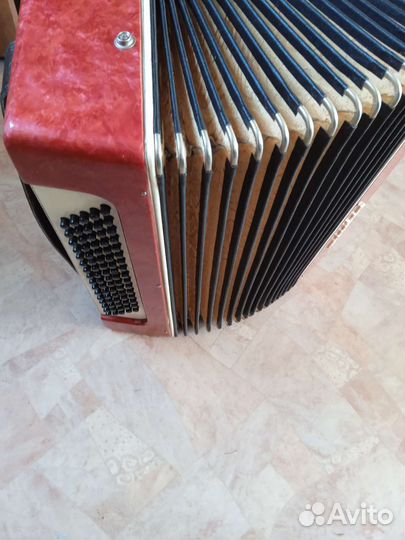 Аккордеон 3/4 спутник