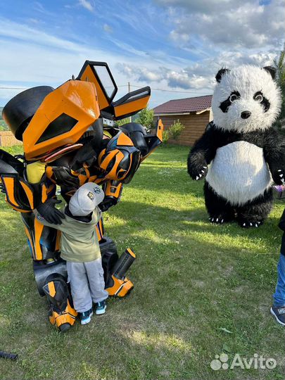 Аниматор Медведь Панда