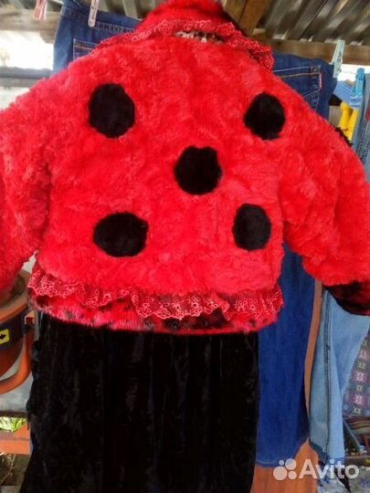 Божья коровка