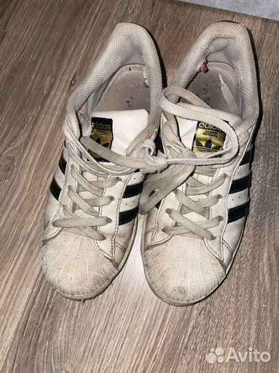 Adidas superstar
