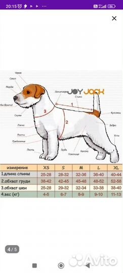 Комбинезон Joy Jack