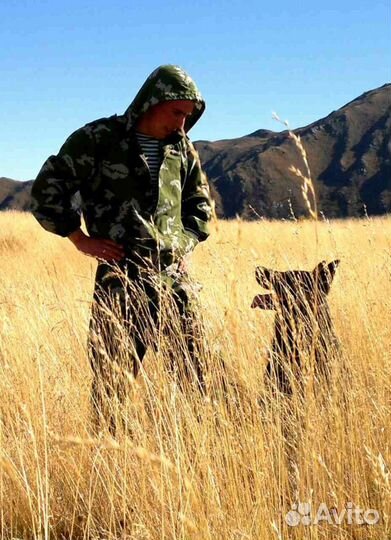 Кинолог, дрессировка собак. Весь Спб