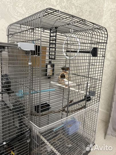 Отель для животных