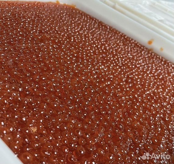Красная икра оптом