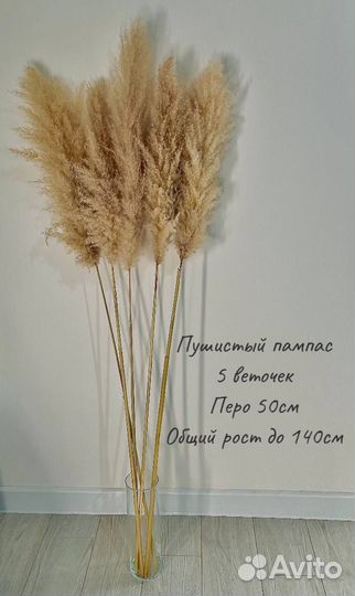 Сухоцветы оптом и розница