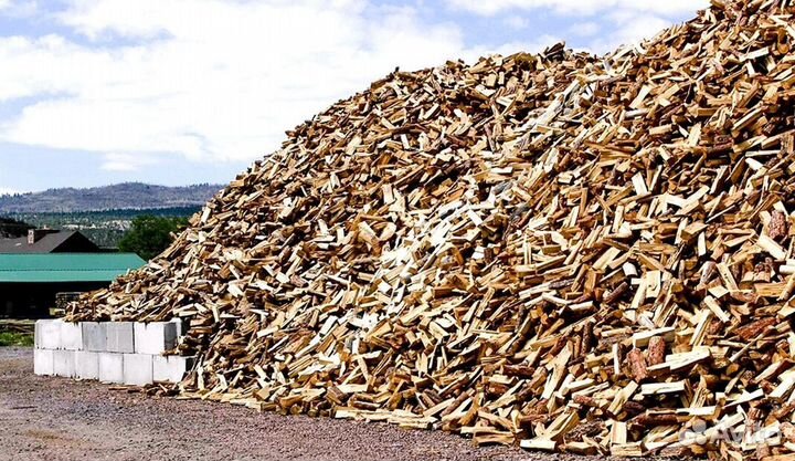 Дрова в СПБ