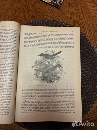 Книга «Жизнь животных» Брэма, 2 том (1896)