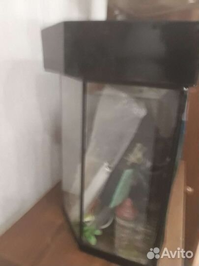 Аквариум