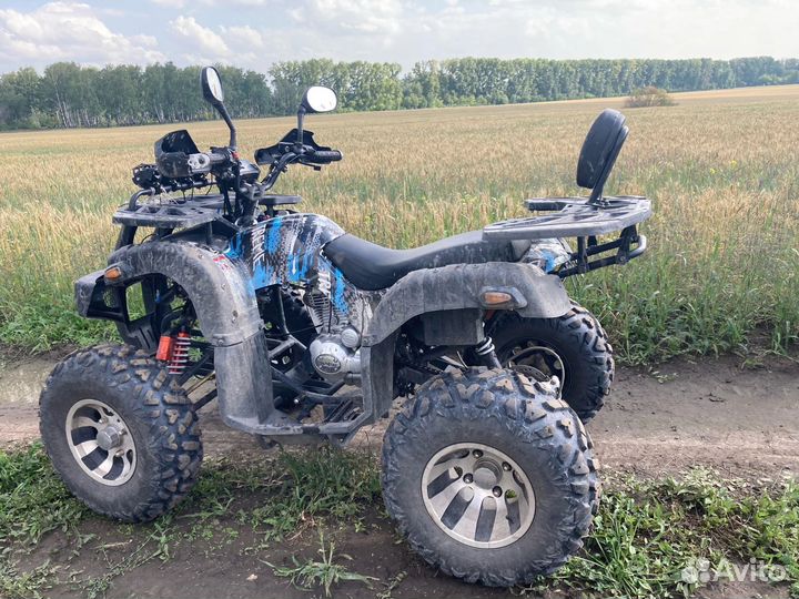 Квадроцикл grizzly 250