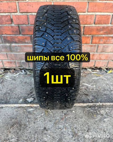 Cordiant Polar 205/55 R16