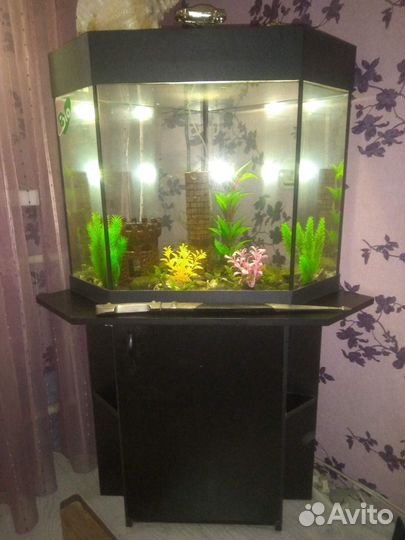 Угловой аквариум 100 литров с тумбочкой