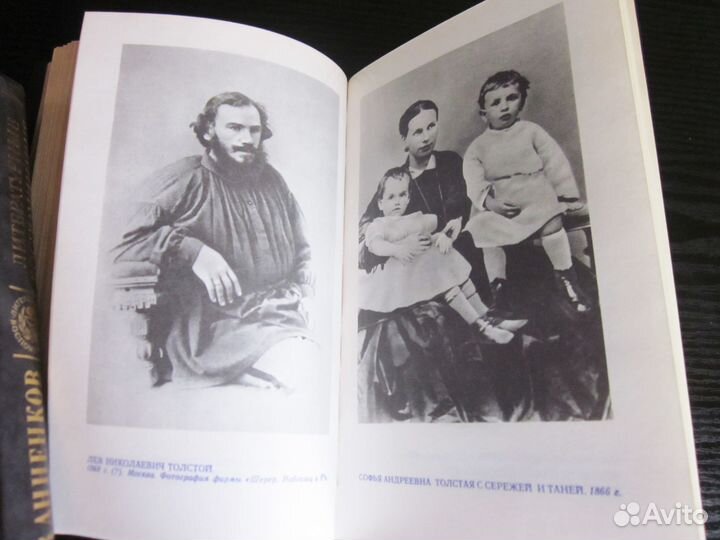 Анненков, Кузминская литературные воспоминания