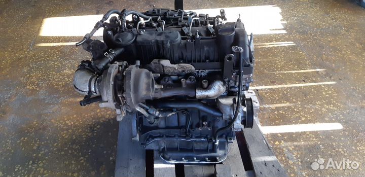 Двигатель Kia/Hyundai D4HB