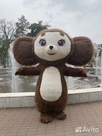 Чебурашка аниматор с моментальным фото