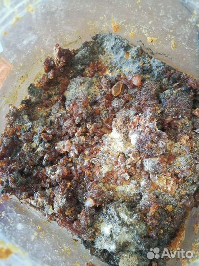 Канифоль сосновая