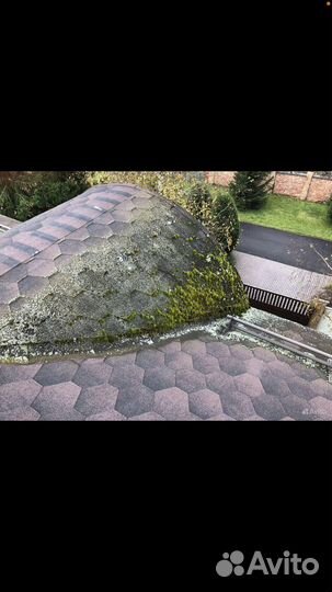 Клининг крыш