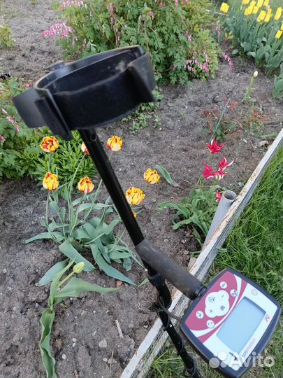 Металлоискатель minelab x terra 505 бу
