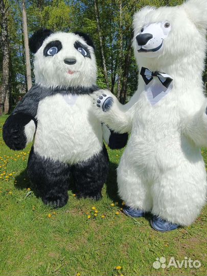 Зайка,Джонни,белый медведь,панда.Поздравления Тула