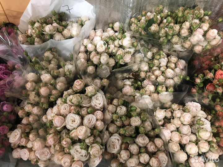 Кустовые розы микс оптом и в розницу