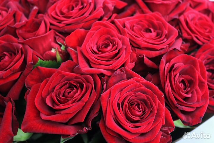 Доставка цветов букеты цветы розы